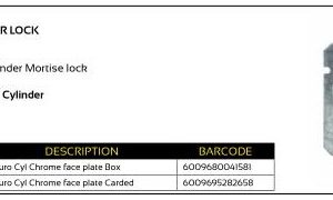 Euro Cylinder Lock