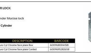 Euro Cylinder Lock