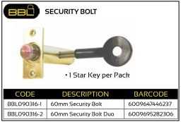 Security Bolt