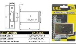 BBL N302 Deadlock